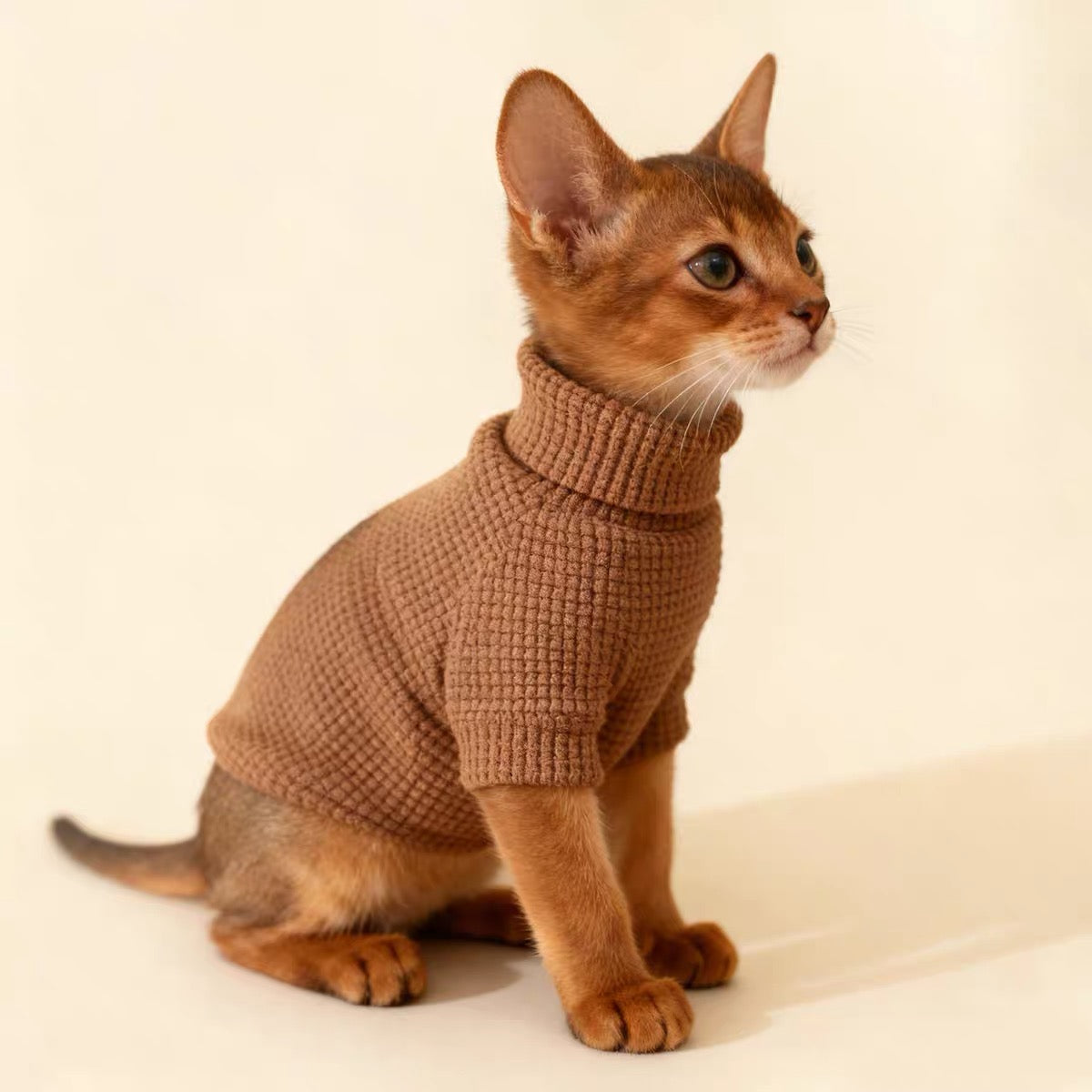 Knit Plaid Pet Sweater